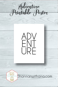 adventure poster pin website MED